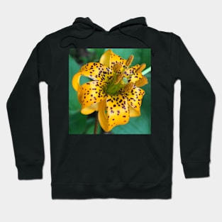 Teeny Orange Forest Lily Hoodie